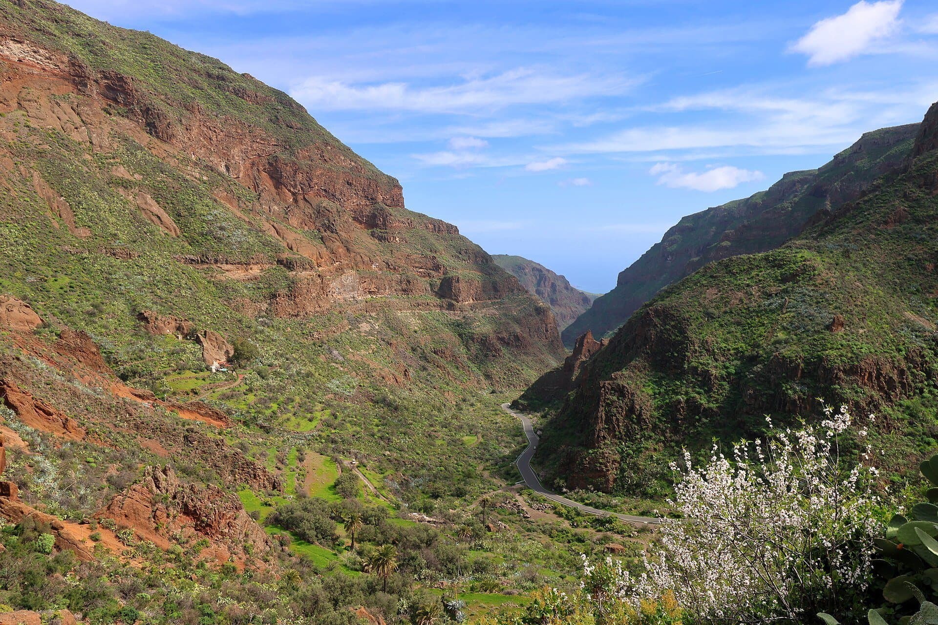 Wąwóz Barranco de Guayadeque na Gran Canarii — zielone zbocza i czerwone skały